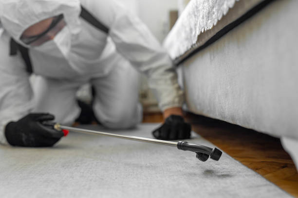 Professional Cockroach Control technician working in Columbus, KS
