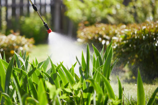 24/7 Emergency Cockroach Control experts in Columbus, KS