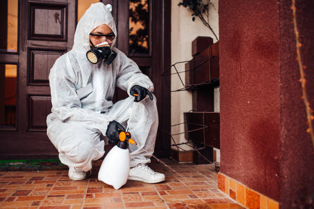 Reliable Cockroach Control contractor in Columbus, KS by Nex Pest Control